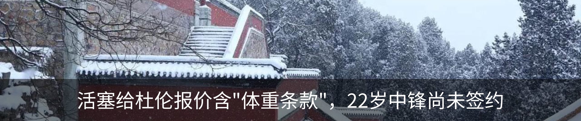 新闻动态