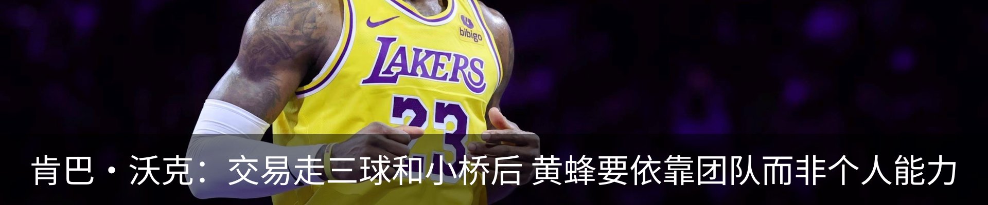 新闻动态