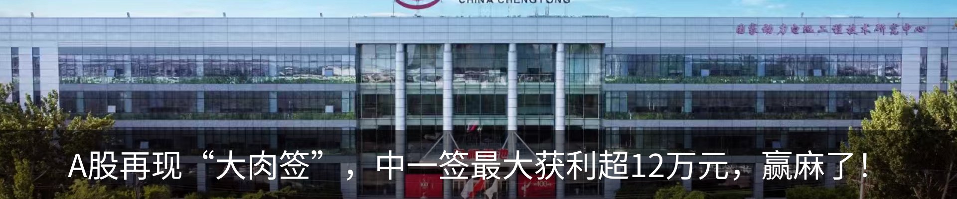 新闻动态